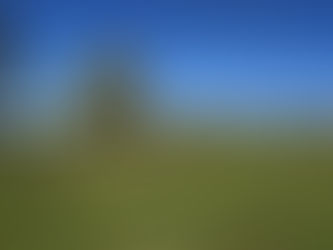 Guidonia Montecelio: Piantati 62 nuovi alberi al Parco di Valle Pilella