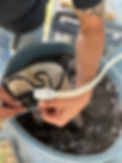 image2.jpeg