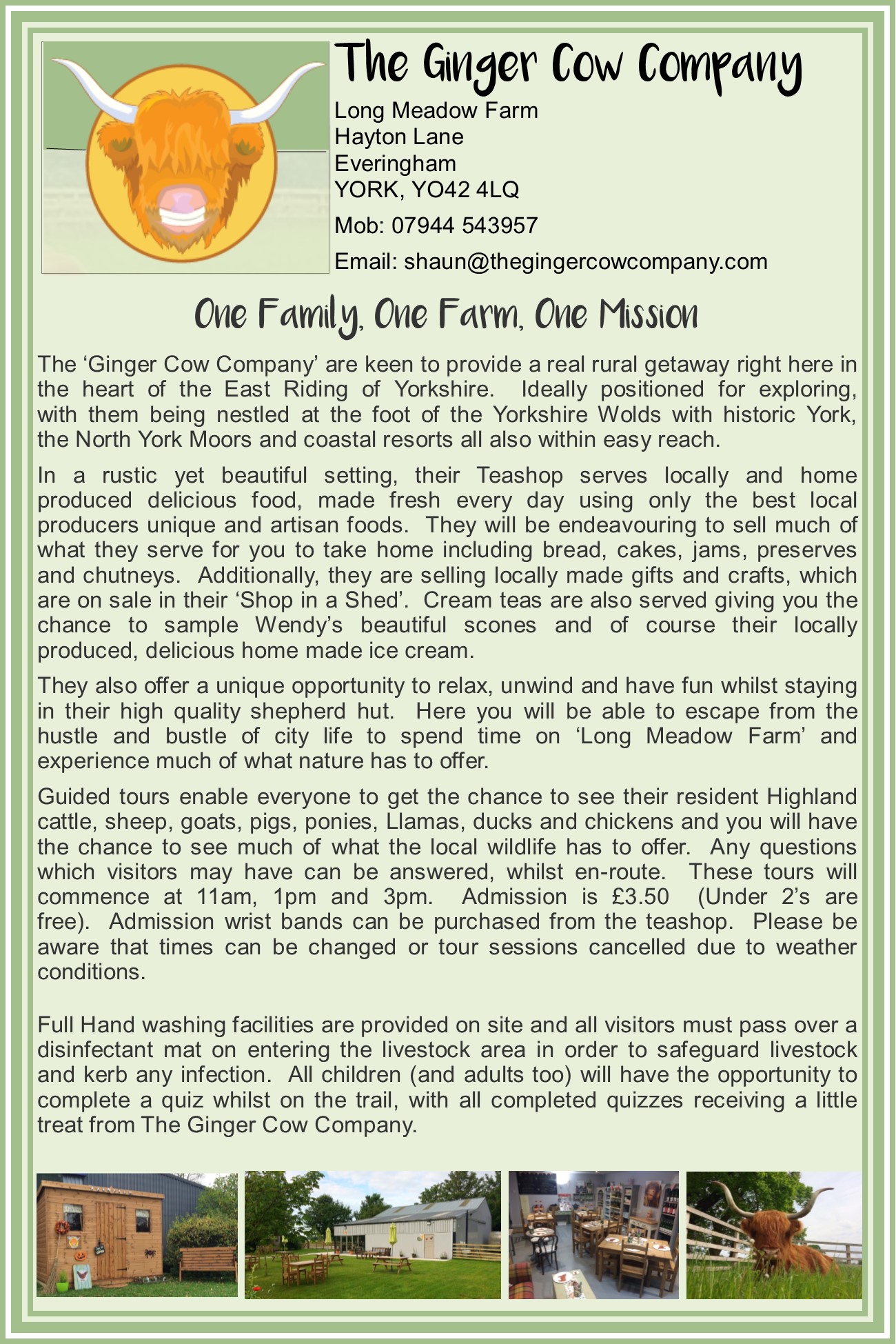 The Ginger Cow Company
