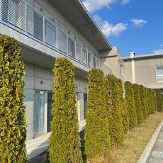 造園工事の年 間管理
