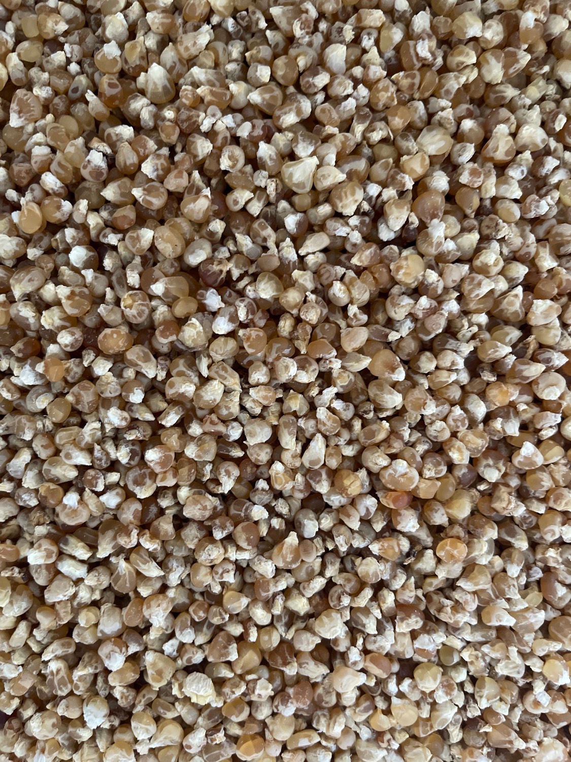 Neeshjizhii Small Bag