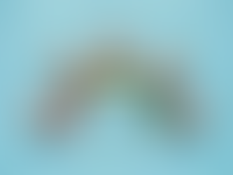 Trastornos emocionales propician obesidad en México según expertos