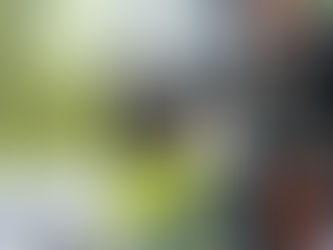 NINCH Company inauguró “NINCH CLUB” en CDMX