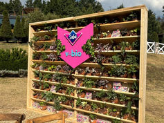 Nueva línea de toallas femeninas y protectores diarios biodegradables que se desintegran en menos de un año: Un compromiso de Saba con el medio ambiente