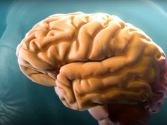 Discapacidad y Alzheimer: Un reto global hacia la inclusión y el tratamiento