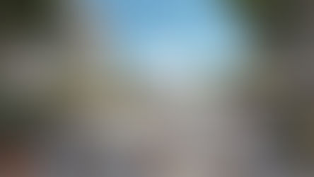 Nuevo desarrollo inmobiliario en Miami rinde homenaje a Frida Kahlo y abre oportunidades para inversionistas mexicanos