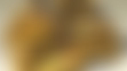 El oro rompe récords y desafía al mercado con un nuevo macrociclo alcista rumbo a 2026