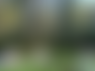 IATI Seguros presenta IATI Escapadas, su apuesta para fortalecer la protección del viajero en México