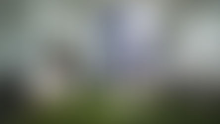 PepsiCo Alimentos México celebra el Día Internacional de la Papa al reconocer el valor del campo mexicano