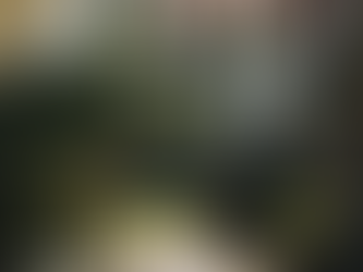 MouthPad: Un dispositivo manejado por la lengua que explora el mundo digital con manos libres