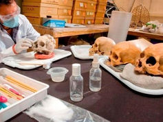 Investigadores piden mayor presupuesto para ciencia y tecnología