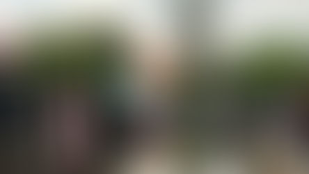 Inundación en Bosques de Aragón