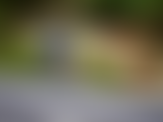 Reto Jala MTB 2024: La cumbre del ciclismo de montaña en Nayarit