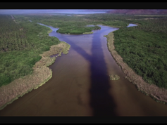 CONTECON MANZANILLO ENTREGA RESULTADOS EN SU COMPROMISO DE CAPTURA DE CARBONO