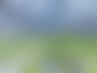 PRESENTAN OFICIALMENTE LA CUARTA EDICIÓN DE GREENTECH AMERICAS, EL EPICENTRO DE LA AGRICULTURA PROTEGIDA EN MÉXICO Y LA REGIÓN