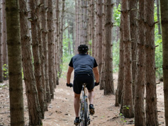 Reto Jala MTB 2024: La Cumbre del Ciclismo de Montaña en Nayarit
