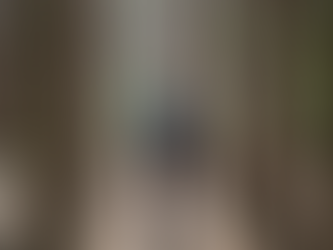 Reto Jala MTB 2024: La Cumbre del Ciclismo de Montaña en Nayarit