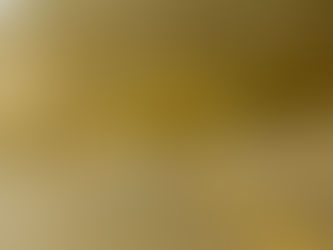 GRAN FONDO WHISTLER - RIVIERA NAYARIT 2025