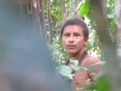 Tribu Awá amenazada por deforestación en Brasil