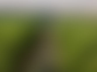 Impulsando la rentabilidad y la sostenibilidad: Rivulis Climate empodera a los agricultores