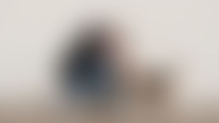 Día del Abuelo Más de 100 trillones de microorganismos podrían estar cuidando la salud de tu mascota senior