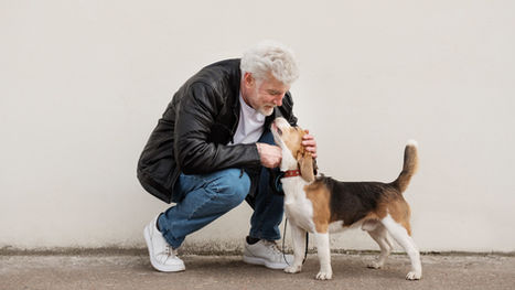 Día del Abuelo Más de 100 trillones de microorganismos podrían estar cuidando la salud de tu mascota senior