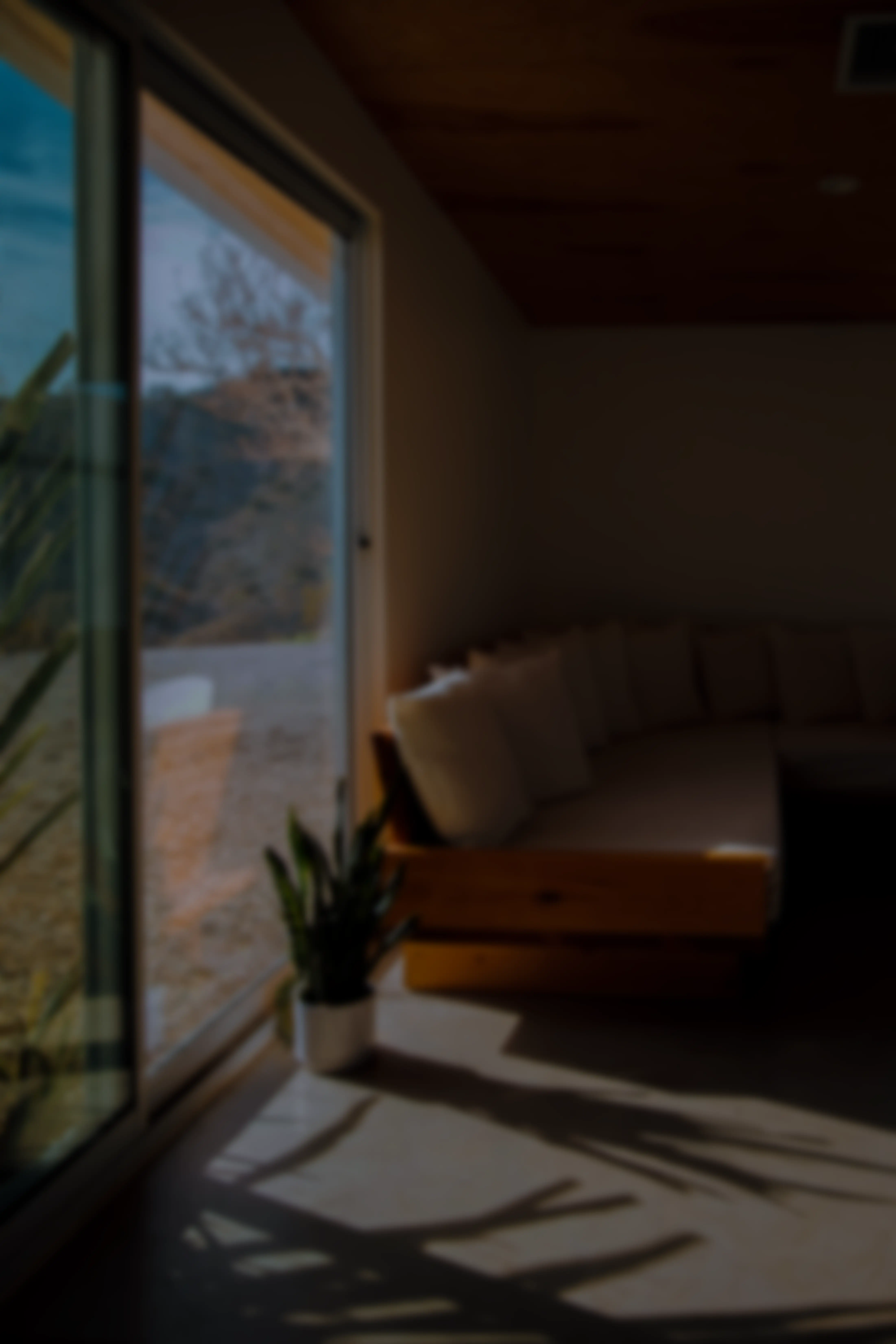 lisha-riabinina-s54FmQMF-dA-unsplash.webp
