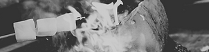 Untitled design (17).png