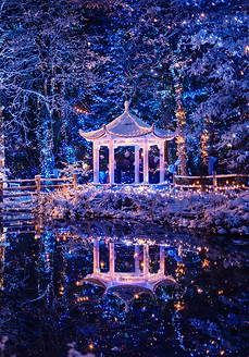 Illuminate IOW - Robin Hill.png