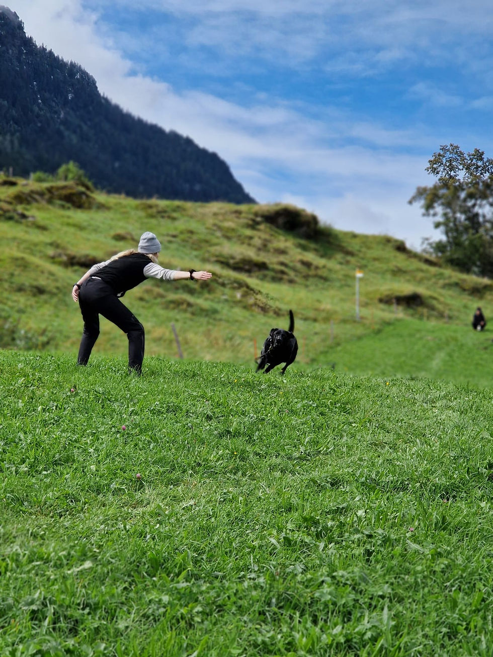 bf93f397-25f7-4d0c-b617-4af3cebd8048