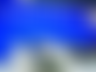 De Verenigde Trump Compagnie