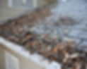 clogged_gutters_mo.jpg