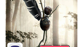 The ChestNut Man (Season 1) (2021) Web-Series Hindi Dubbed