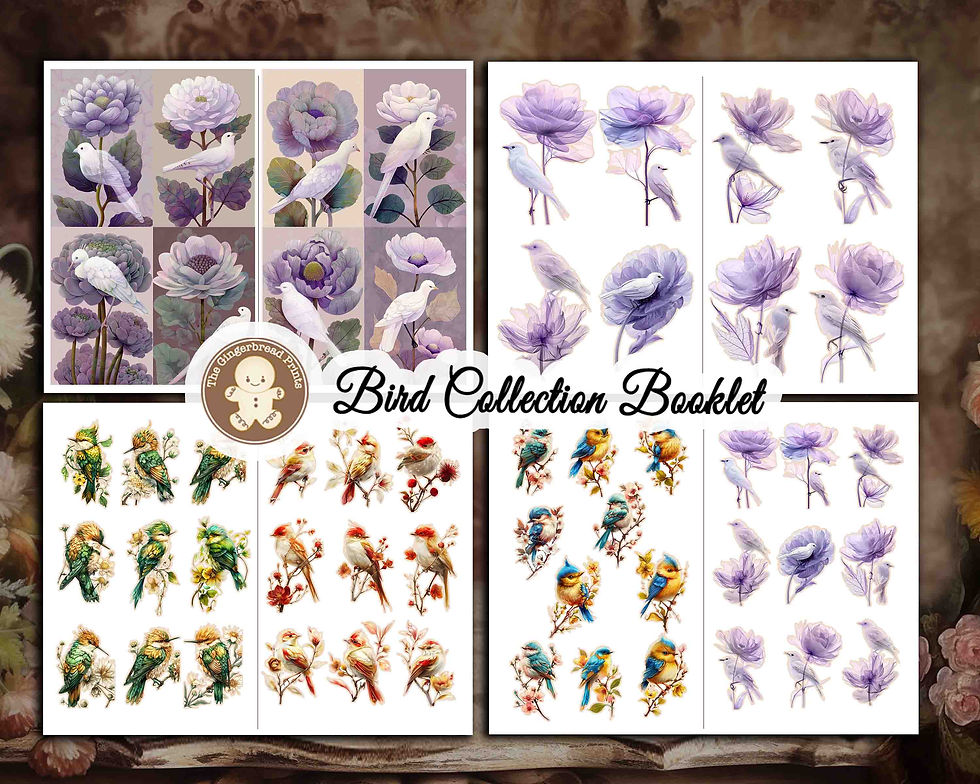 Miniatura: Birds Collection Booklet