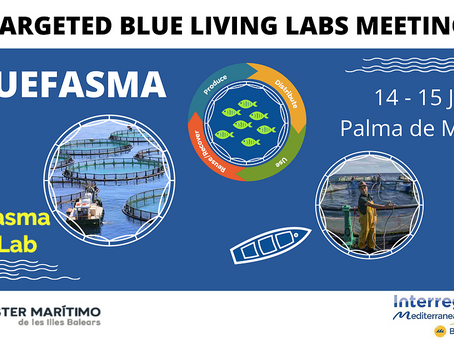 Meeting BLUEFASMA