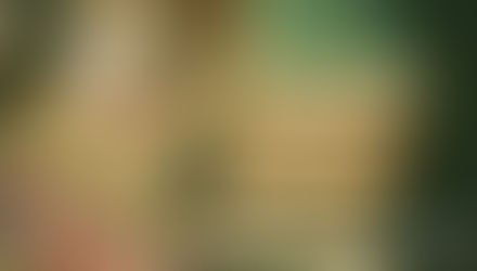 Um convite a leitura