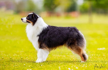 64482623_10218956175154811_1834368708076