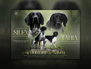 Annonce de mariage de Silex & Tahia, élevage du Domaine de Navea