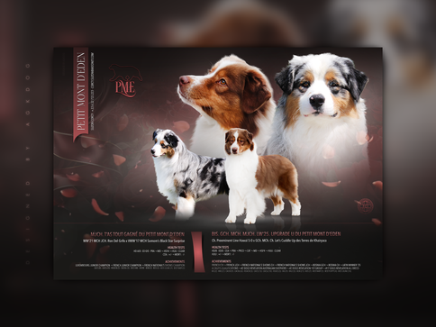 Annonce de mariage de Julienne & Beyonce, élevage du Petit Mont d'Eden