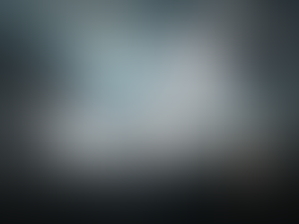 Studcard de Storm, Dalmatien, élevage Of Moonlight Blue