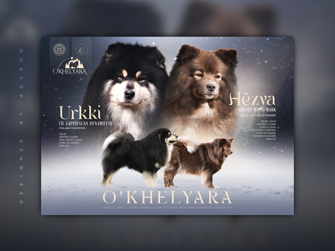 Annonce de mariage, Urkki & Hëzya, élevage O'Khelyara