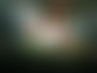 Annonce de mariage de Snow et Zoé, élevage Di Bellu Soniu