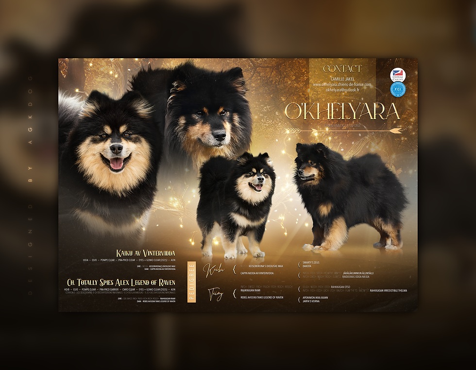 Mariage • Kaiku & Täiny