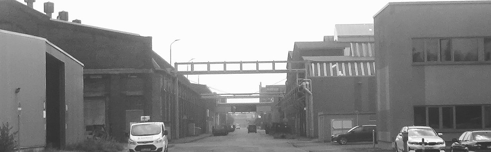 DSC07227 - Copy (4).JPG