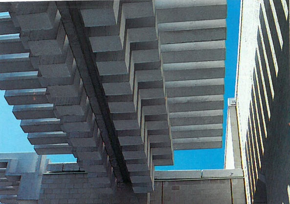 archi urbanism roof.jpg