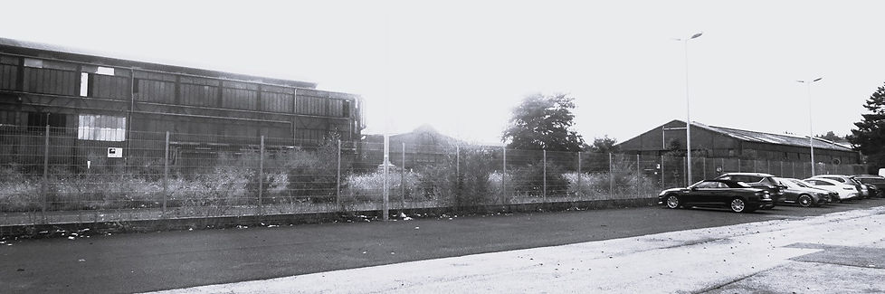 DSC07214 - Copy.JPG