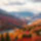 red and gold colorado nature landscape in fall, have mountains, a river, etc.jpg