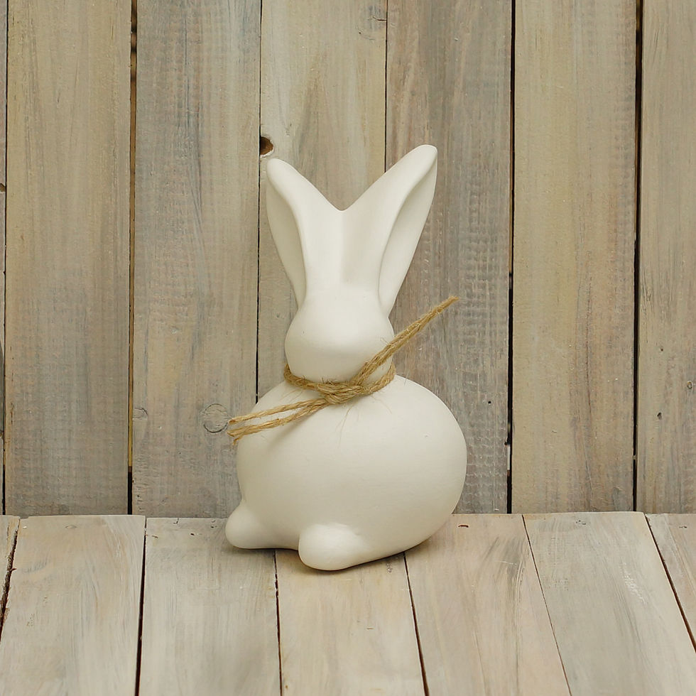 Thumbnail: Small Ball Bunny
