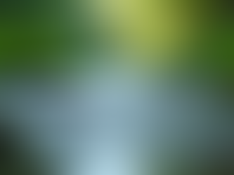 Explorando os Temas de 'Um Rio Sem Fim'