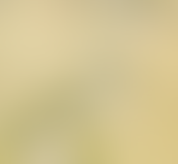 A winding path crosses a beige landscape with sparse trees. Footprints lead into the distance. "जीवन यात्रा" text is at the top.